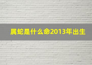 属蛇是什么命2013年出生