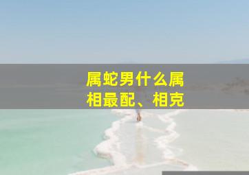 属蛇男什么属相最配、相克