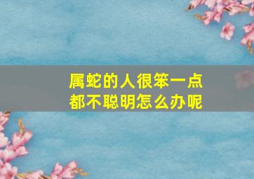 属蛇的人很笨一点都不聪明怎么办呢