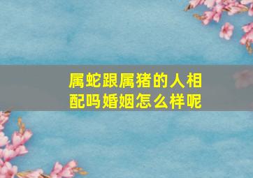 属蛇跟属猪的人相配吗婚姻怎么样呢