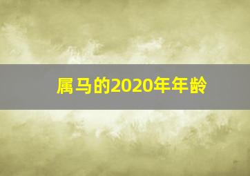 属马的2020年年龄