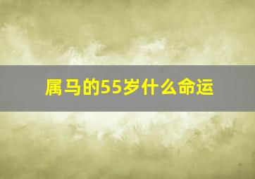 属马的55岁什么命运