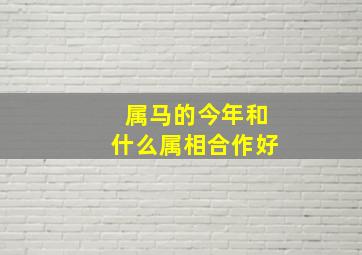 属马的今年和什么属相合作好