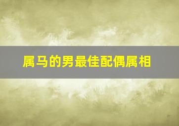 属马的男最佳配偶属相