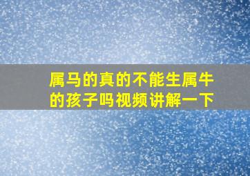 属马的真的不能生属牛的孩子吗视频讲解一下