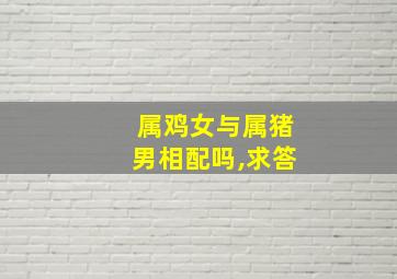 属鸡女与属猪男相配吗,求答