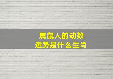 属鼠人的劫数运势是什么生肖