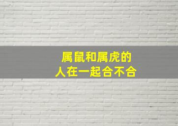 属鼠和属虎的人在一起合不合