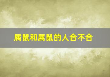 属鼠和属鼠的人合不合