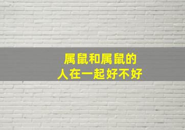 属鼠和属鼠的人在一起好不好