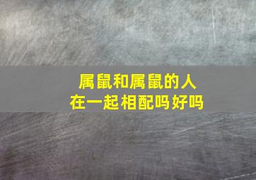 属鼠和属鼠的人在一起相配吗好吗