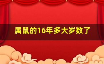 属鼠的16年多大岁数了