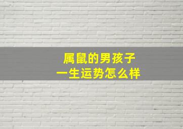 属鼠的男孩子一生运势怎么样