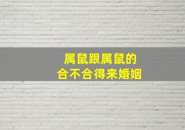 属鼠跟属鼠的合不合得来婚姻