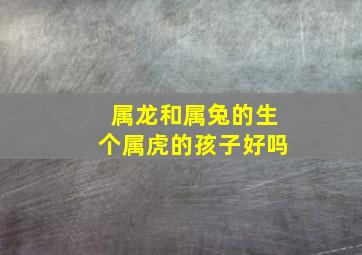 属龙和属兔的生个属虎的孩子好吗