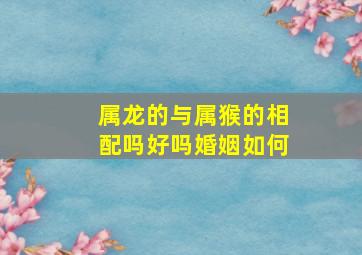 属龙的与属猴的相配吗好吗婚姻如何