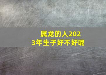 属龙的人2023年生子好不好呢