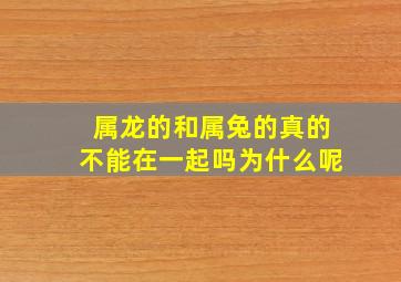 属龙的和属兔的真的不能在一起吗为什么呢