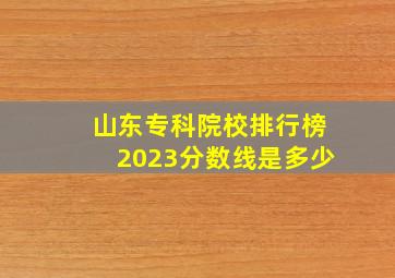 山东专科院校排行榜2023分数线是多少