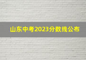 山东中考2023分数线公布