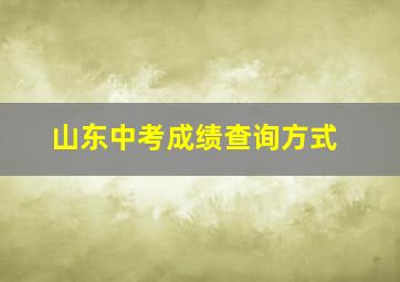 山东中考成绩查询方式