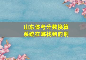 山东体考分数换算系统在哪找到的啊