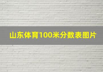 山东体育100米分数表图片