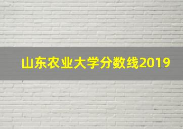 山东农业大学分数线2019