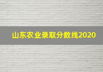 山东农业录取分数线2020