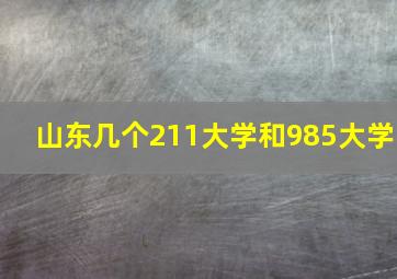 山东几个211大学和985大学