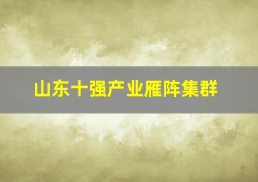 山东十强产业雁阵集群