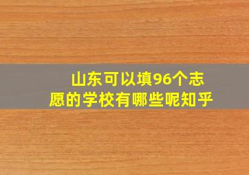 山东可以填96个志愿的学校有哪些呢知乎