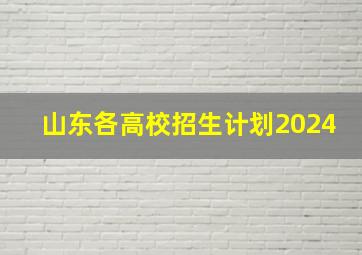 山东各高校招生计划2024