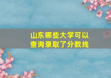 山东哪些大学可以查询录取了分数线