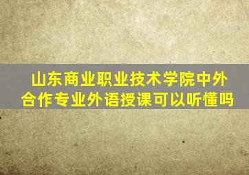 山东商业职业技术学院中外合作专业外语授课可以听懂吗