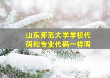 山东师范大学学校代码和专业代码一样吗