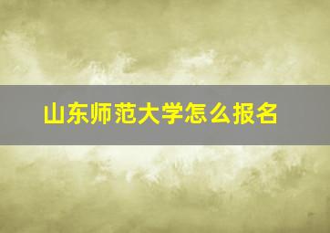 山东师范大学怎么报名