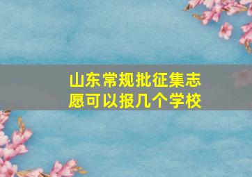 山东常规批征集志愿可以报几个学校