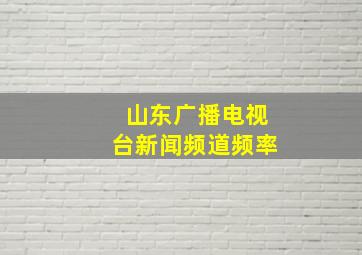 山东广播电视台新闻频道频率