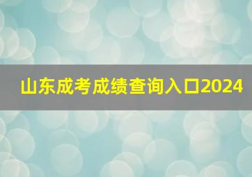 山东成考成绩查询入口2024