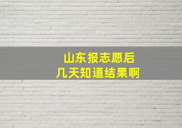 山东报志愿后几天知道结果啊