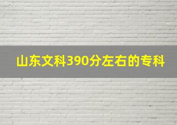 山东文科390分左右的专科