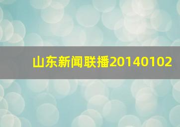 山东新闻联播20140102