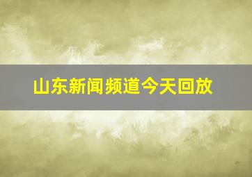 山东新闻频道今天回放