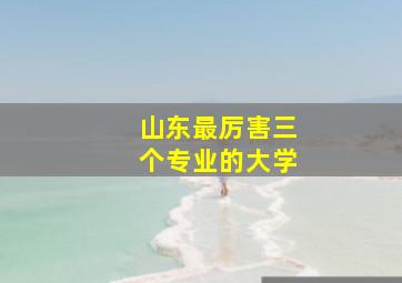 山东最厉害三个专业的大学