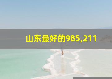 山东最好的985,211