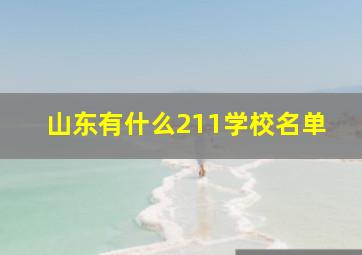 山东有什么211学校名单