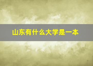 山东有什么大学是一本