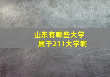 山东有哪些大学属于211大学啊