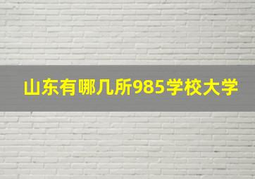 山东有哪几所985学校大学